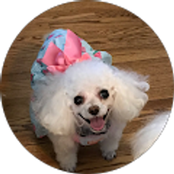 Profile photo of Sandra Koeller