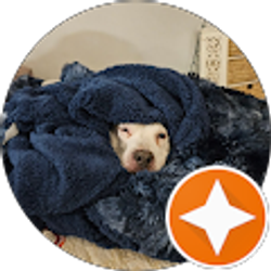 Profile photo of Sarah