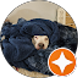 Profile photo of Sarah