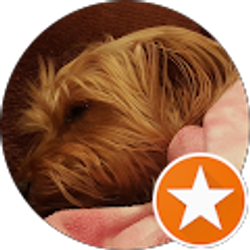 Profile photo of Rick