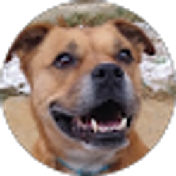 Profile photo of Conner