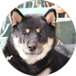 Profile photo of Desiree Huffman