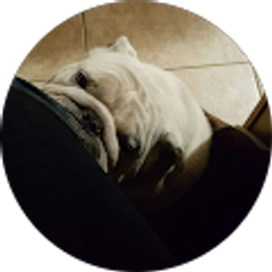 Profile photo of Cesar Nuñez