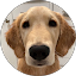 Profile photo of Jacob Shook