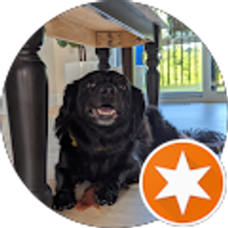 Profile photo of Jared England