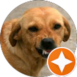 Profile photo of Mason Strickland