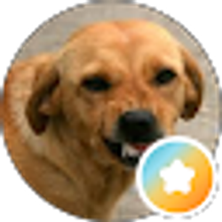 Profile photo of Mason Strickland