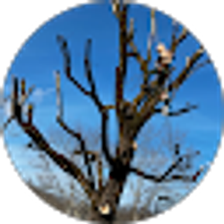 Profile photo of Theo Lewis