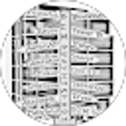 Profile photo of Armin Aynie