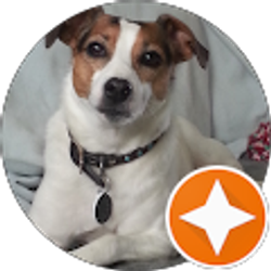 Profile photo of debora hardy