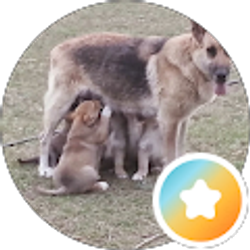 Profile photo of Jaynne Gill