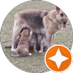 Profile photo of Jaynne Gill