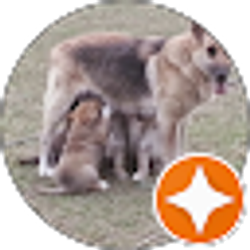 Profile photo of Jaynne Gill