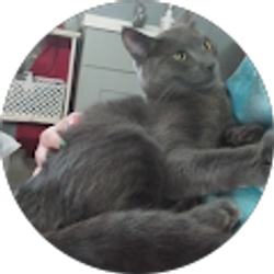 Profile photo of Heidi Klaus