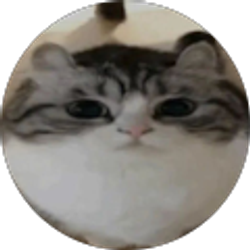 Profile photo of Ashley Diaz