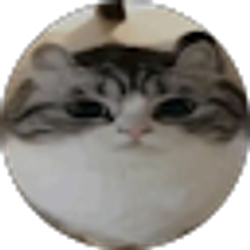 Profile photo of Ashley Diaz