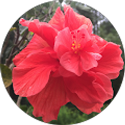 Profile photo of Terry Moher