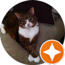 Profile photo of Just Ang