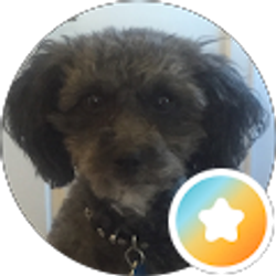 Profile photo of Pamela Urbanowicz