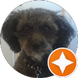 Profile photo of Pamela Urbanowicz