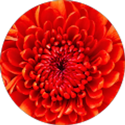 Profile photo of Brittney G