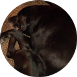 Profile photo of newgeorgecullers