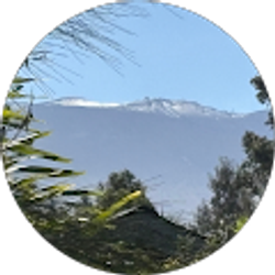 Profile photo of Michael Keenan