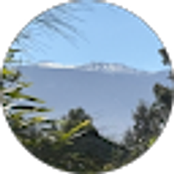 Profile photo of Michael Keenan