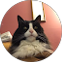 Profile photo of I M