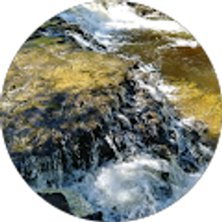 Profile photo of Natasha Luneack