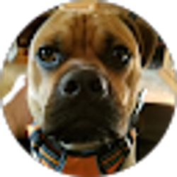 Profile photo of Sheila Cradduck