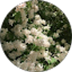 Profile photo of kalpana r