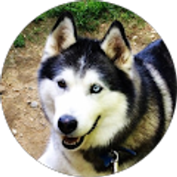 Profile photo of Tina P