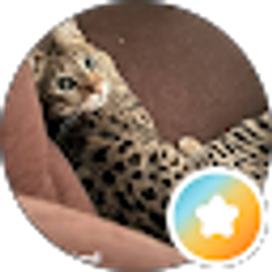 Profile photo of Lolly Lambert