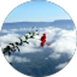 Profile photo of Sultana Zaman