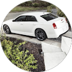 Profile photo of Sergio Garcia