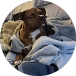 Profile photo of Petey pete Pete