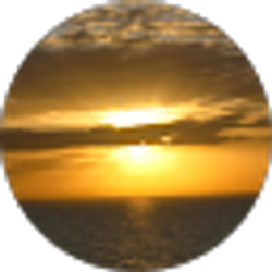 Profile photo of Saheel Shah