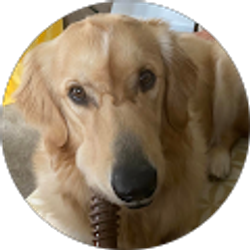 Profile photo of Chris Creaney