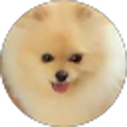Profile photo of Yminh Phan