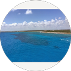 Profile photo of Sherly