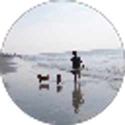 Profile photo of Stephanie Mitchem