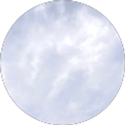 Profile photo of irie treatz