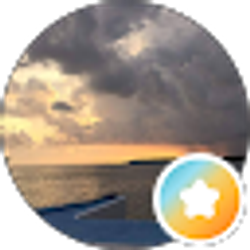 Profile photo of C Grey