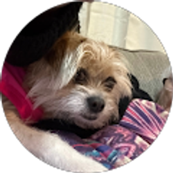Profile photo of Lucy “Lucy” Brock