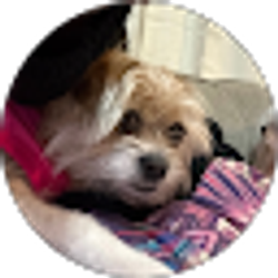 Profile photo of Lucy “Lucy” Brock