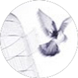 Profile photo of maureen curtin