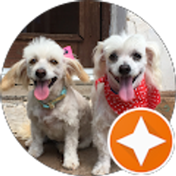 Profile photo of Heidi Aragon