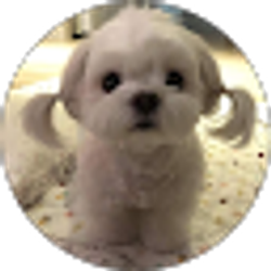 Profile photo of sani