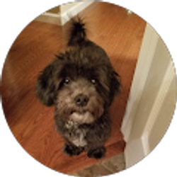 Profile photo of Gerry Arb